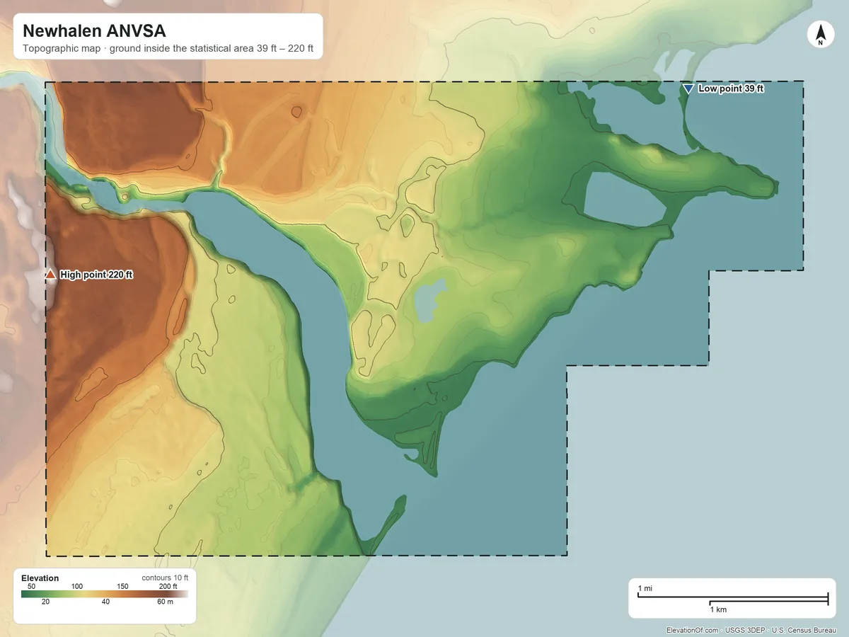Topographic elevation map of Newhalen ANVSA, Alaska, shaded from 39 ft on the northeast side to 220 ft on the west side