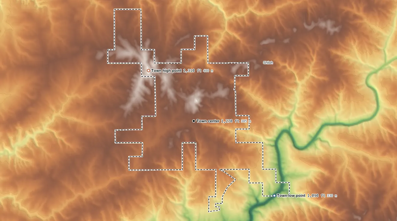 Topographic elevation map of Fyffe, Alabama, shaded from 1,090 ft on the southeast side to 1,310 ft on the northwest side