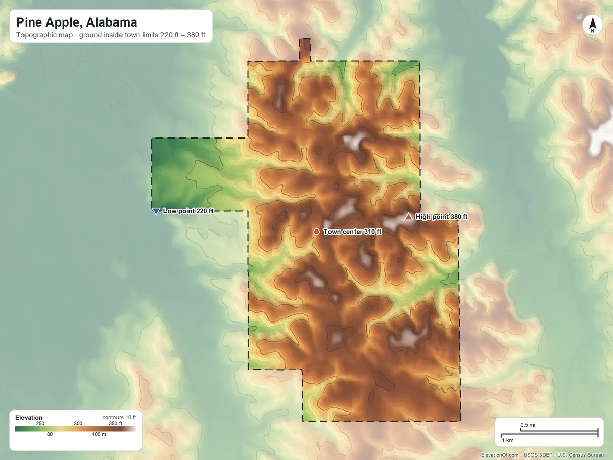 Topographic elevation map of Pine Apple, Alabama, shaded from 220 ft on the west side to 380 ft on the east side