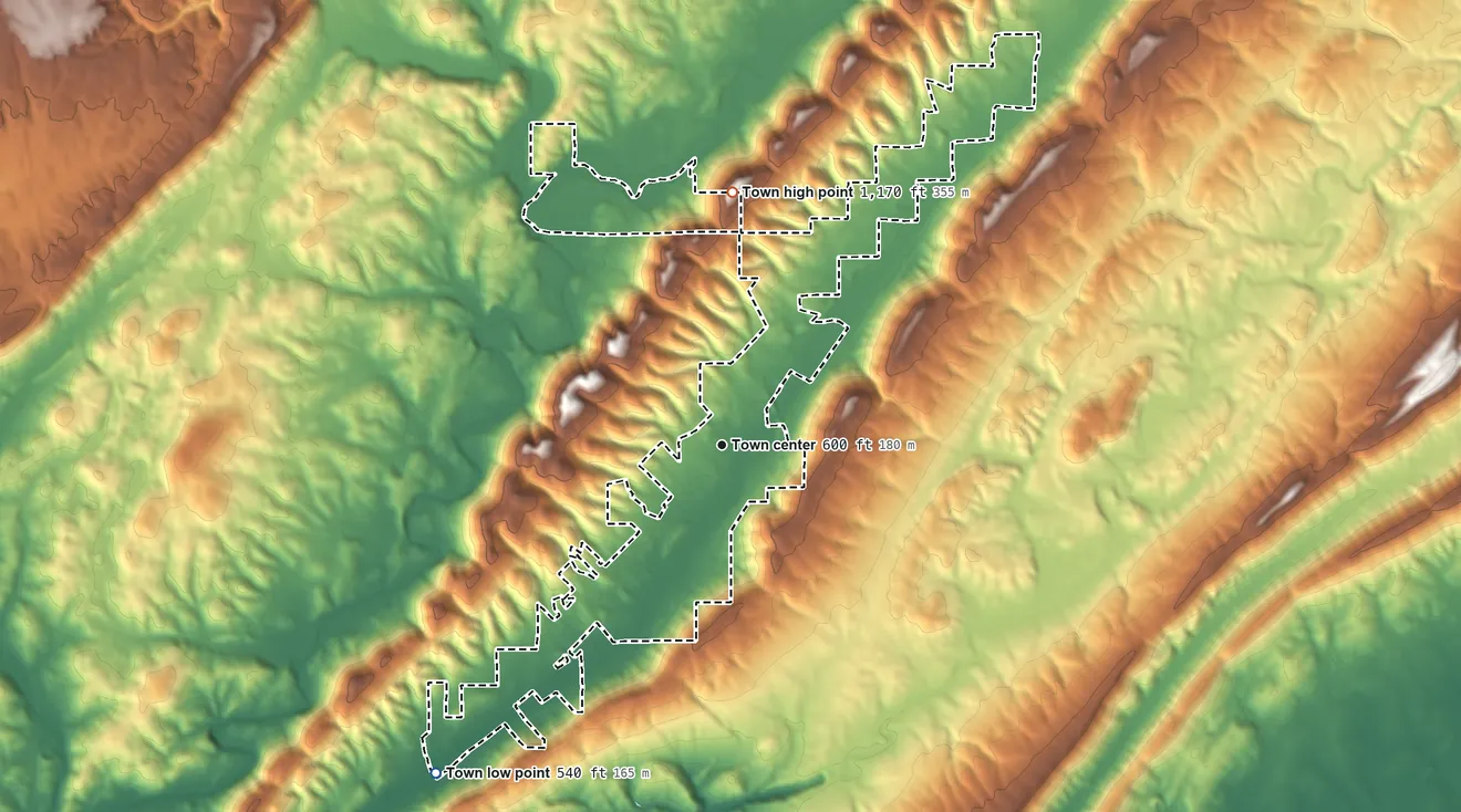 Topographic elevation map of Reece City, Alabama, shaded from 540 ft on the southwest side to 1,170 ft on the north side