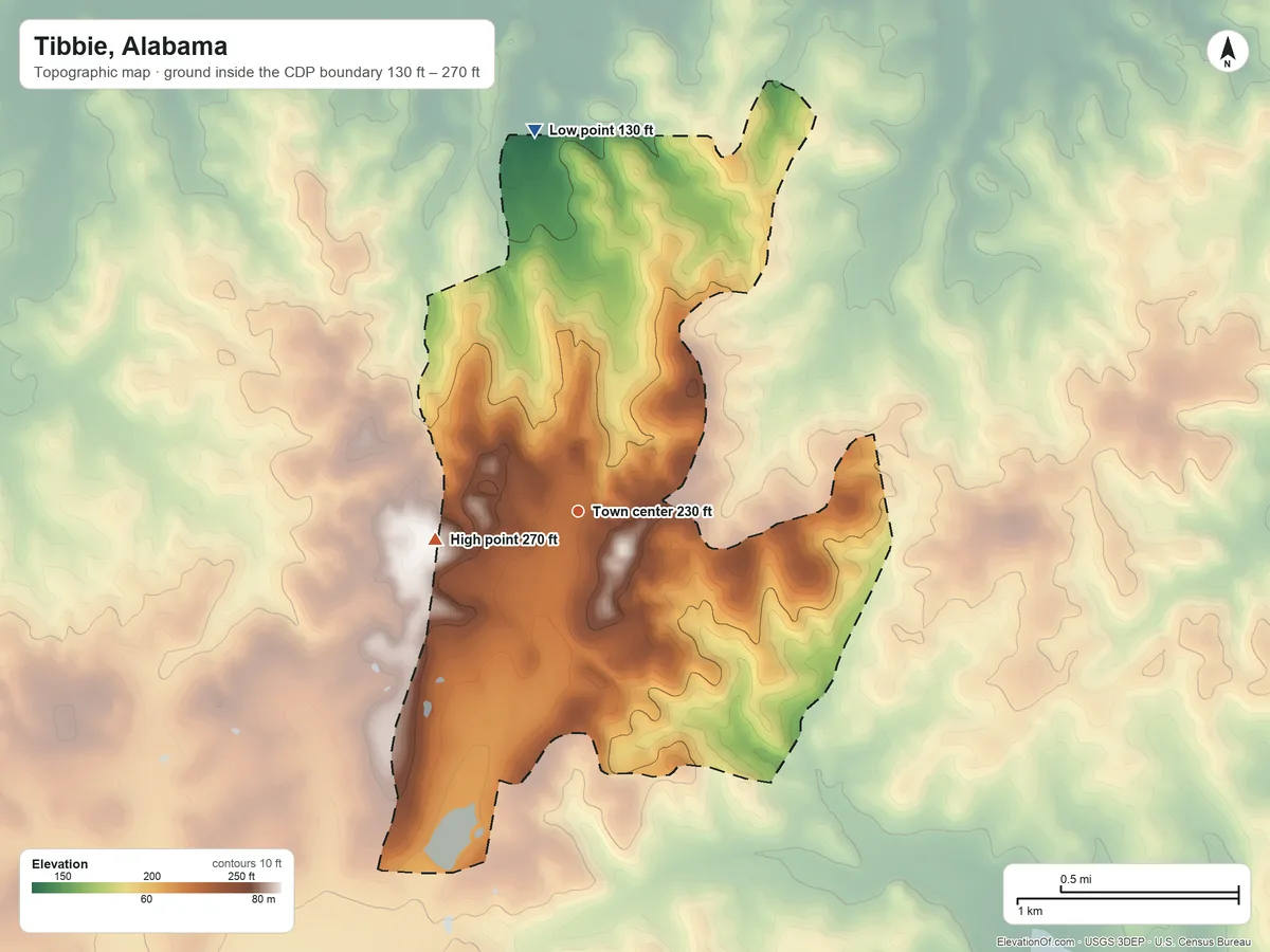 Topographic elevation map of Tibbie, Alabama, shaded from 130 ft on the north side to 270 ft on the west side