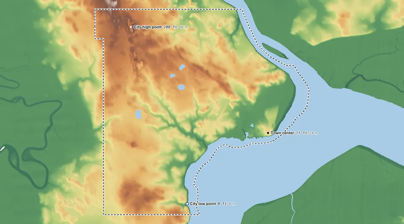 Topographic elevation map of Dillingham, Alaska, shaded from sea level level on Nushagak Bay to 200 ft on the northwest side