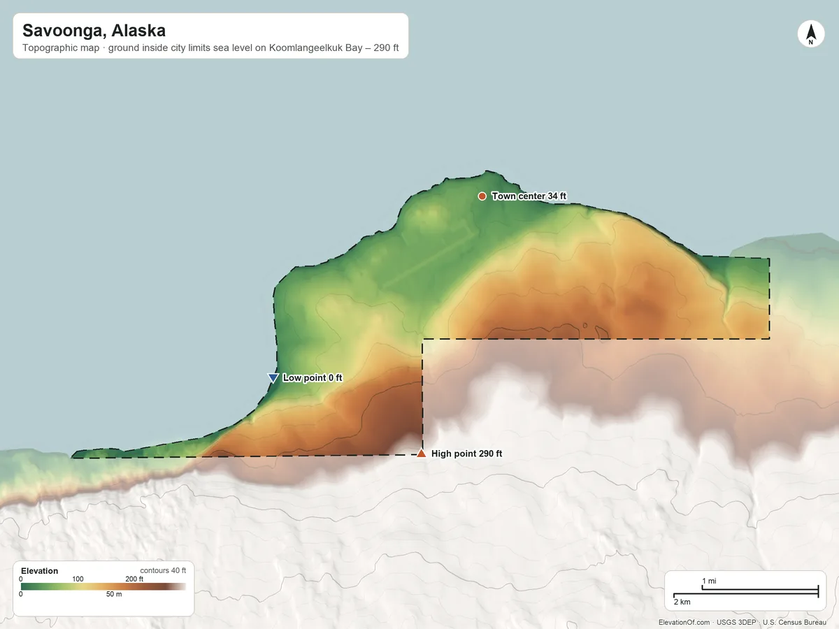 Topographic elevation map of Savoonga, Alaska, shaded from sea level level on Koomlangeelkuk Bay to 290 ft at the foot of the Kookooligit Mountains