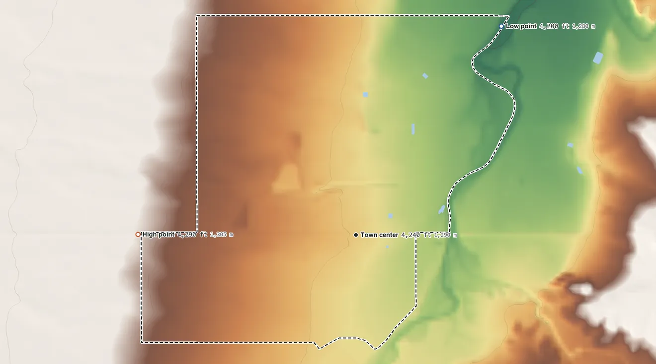 Topographic elevation map of Palominas, Arizona, shaded from 4,200 ft on the northeast side to 4,290 ft on the west side