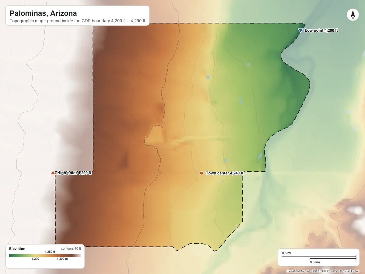 Topographic elevation map of Palominas, Arizona, shaded from 4,200 ft on the northeast side to 4,290 ft on the west side