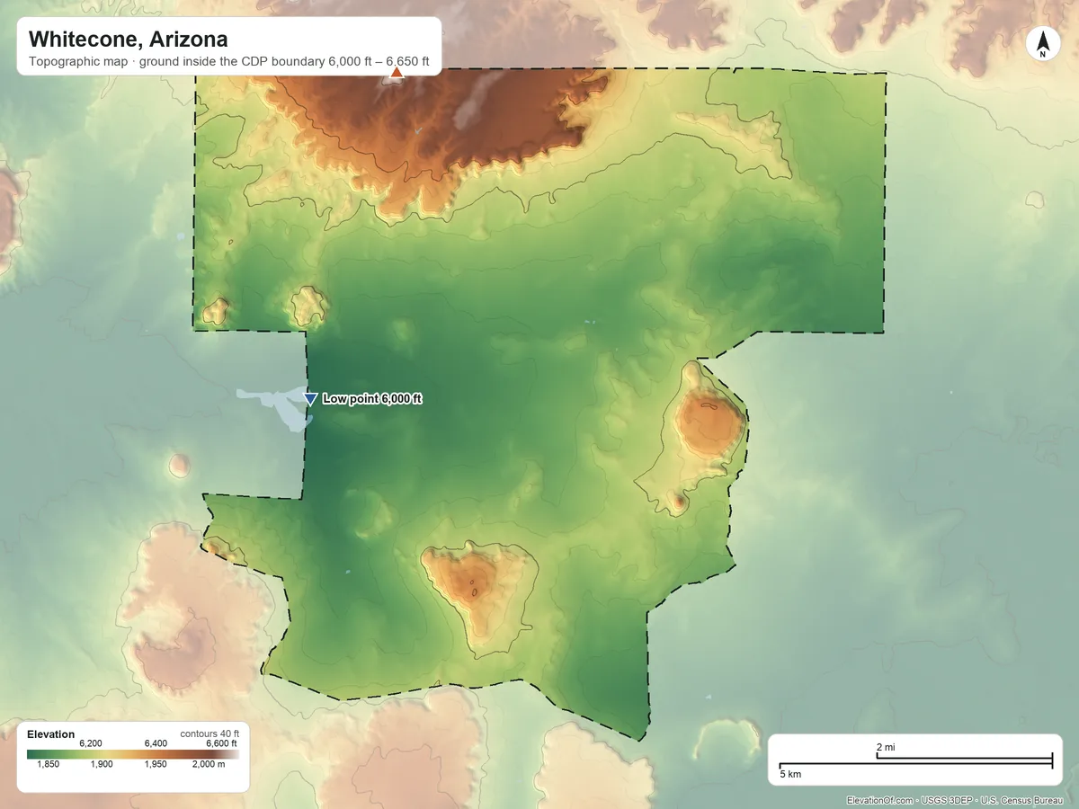 Topographic elevation map of Whitecone, Arizona, shaded from 6,000 ft on the west side to 6,650 ft on the north side