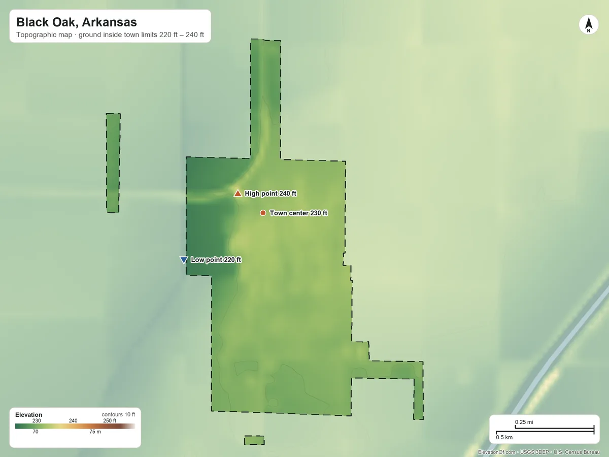 Topographic elevation map of Black Oak, Arkansas, shaded from 220 ft on the southwest side to 240 ft near the middle