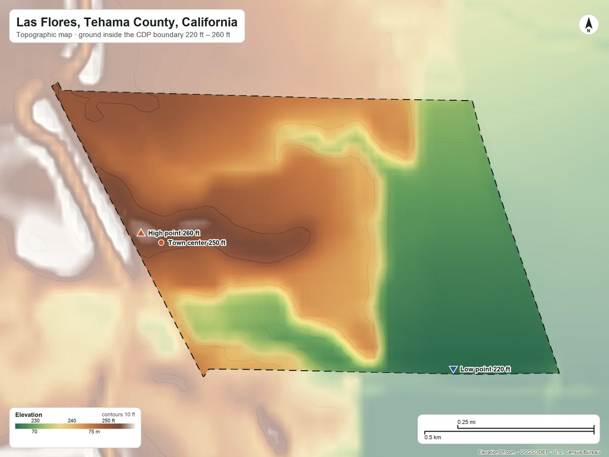 Topographic elevation map of Las Flores, Tehama County, California, shaded from 220 ft on the southeast side to 260 ft near the middle