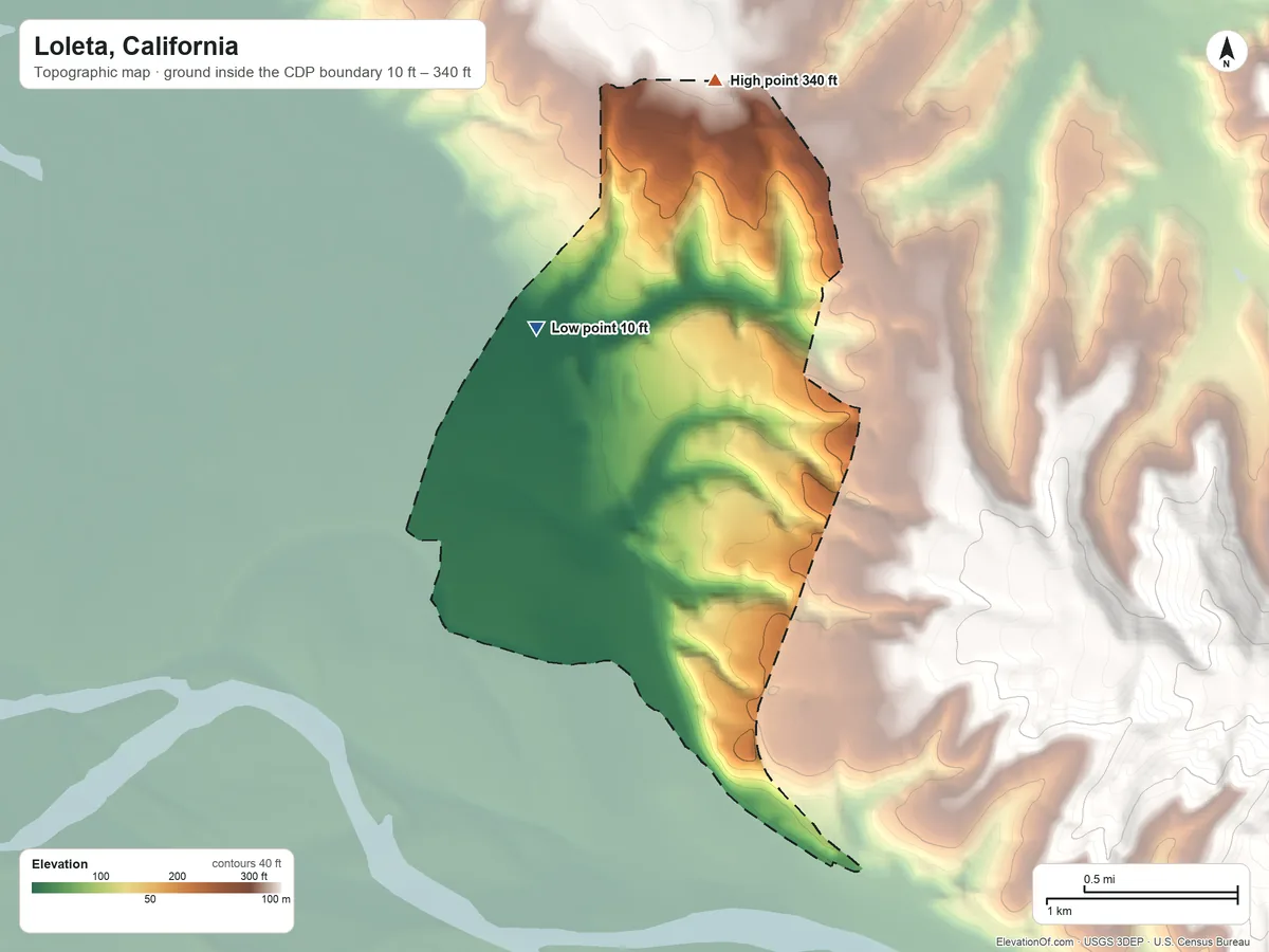 Topographic elevation map of Loleta, California, shaded from 10 ft on the northwest side to 340 ft on the north side