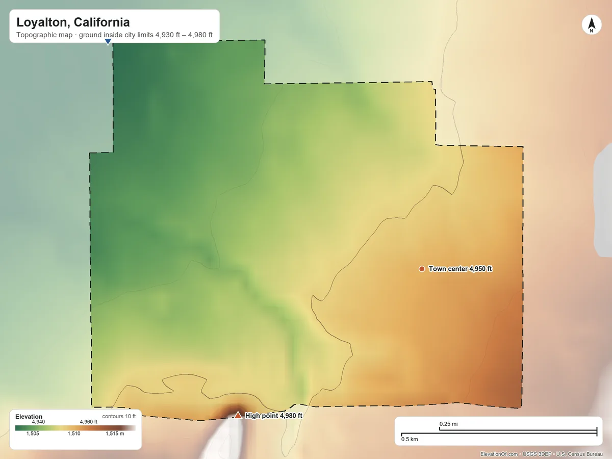 Topographic elevation map of Loyalton, California, shaded from 4,930 ft on the northwest side to 4,980 ft at the foot of the Bald Mountain Range