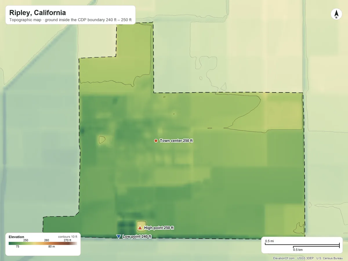 Topographic elevation map of Ripley, California, shaded from 240 ft on the south side to 250 ft on the south side