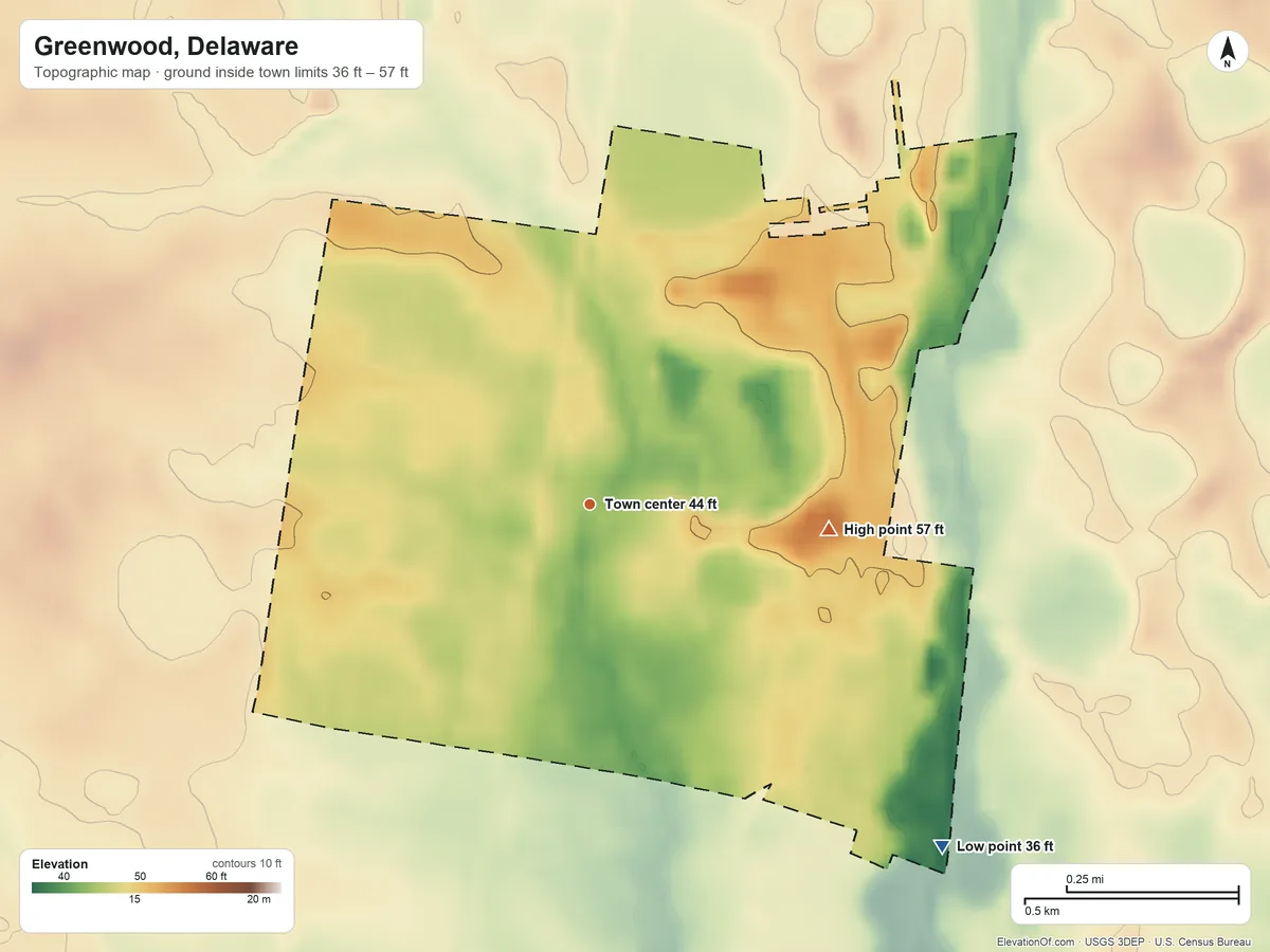 Topographic elevation map of Greenwood, Delaware, shaded from 36 ft on the southeast side to 57 ft on the east side