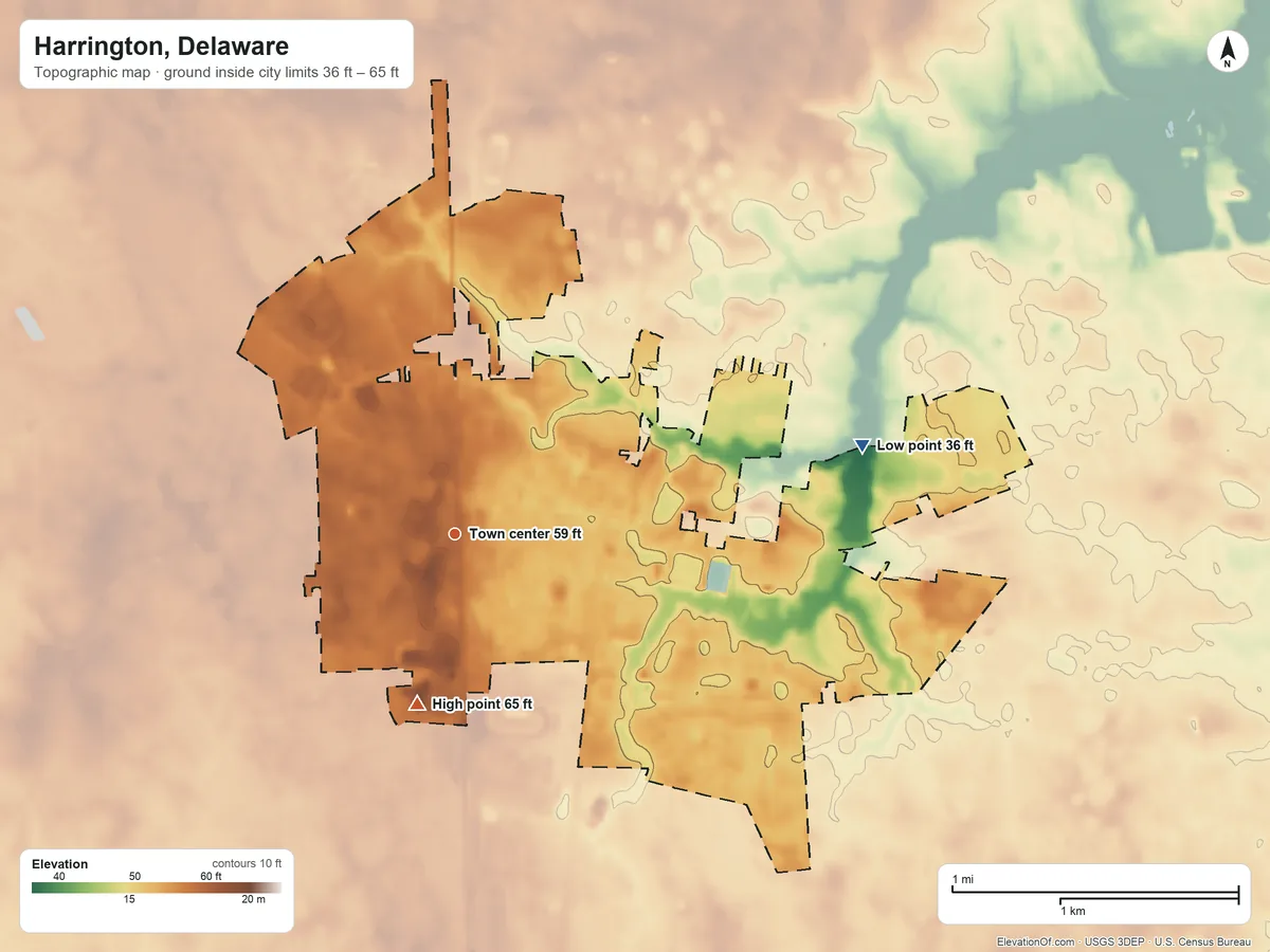 Topographic elevation map of Harrington, Delaware, shaded from 36 ft on the east side to 65 ft on the south side
