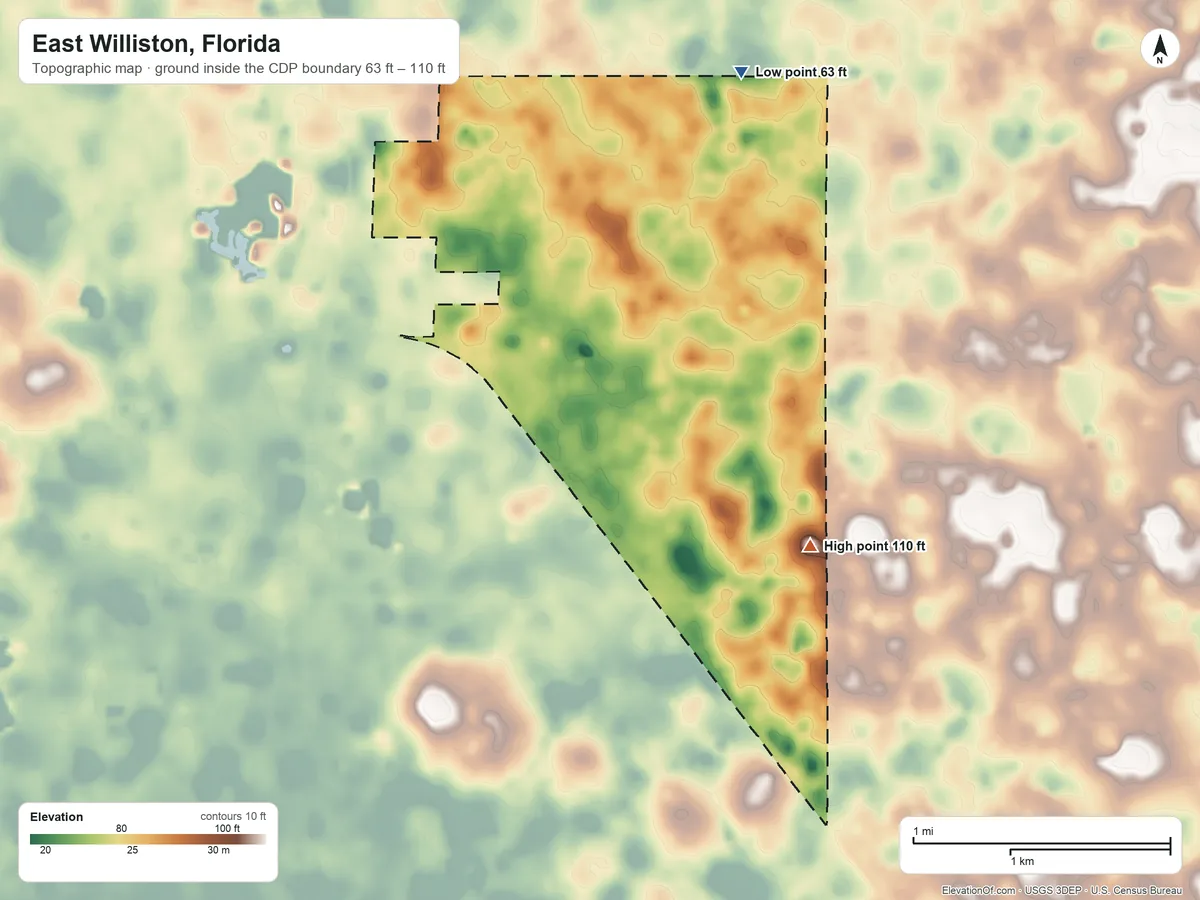 Topographic elevation map of East Williston, Florida, shaded from 63 ft on the north side to 110 ft on the southeast side