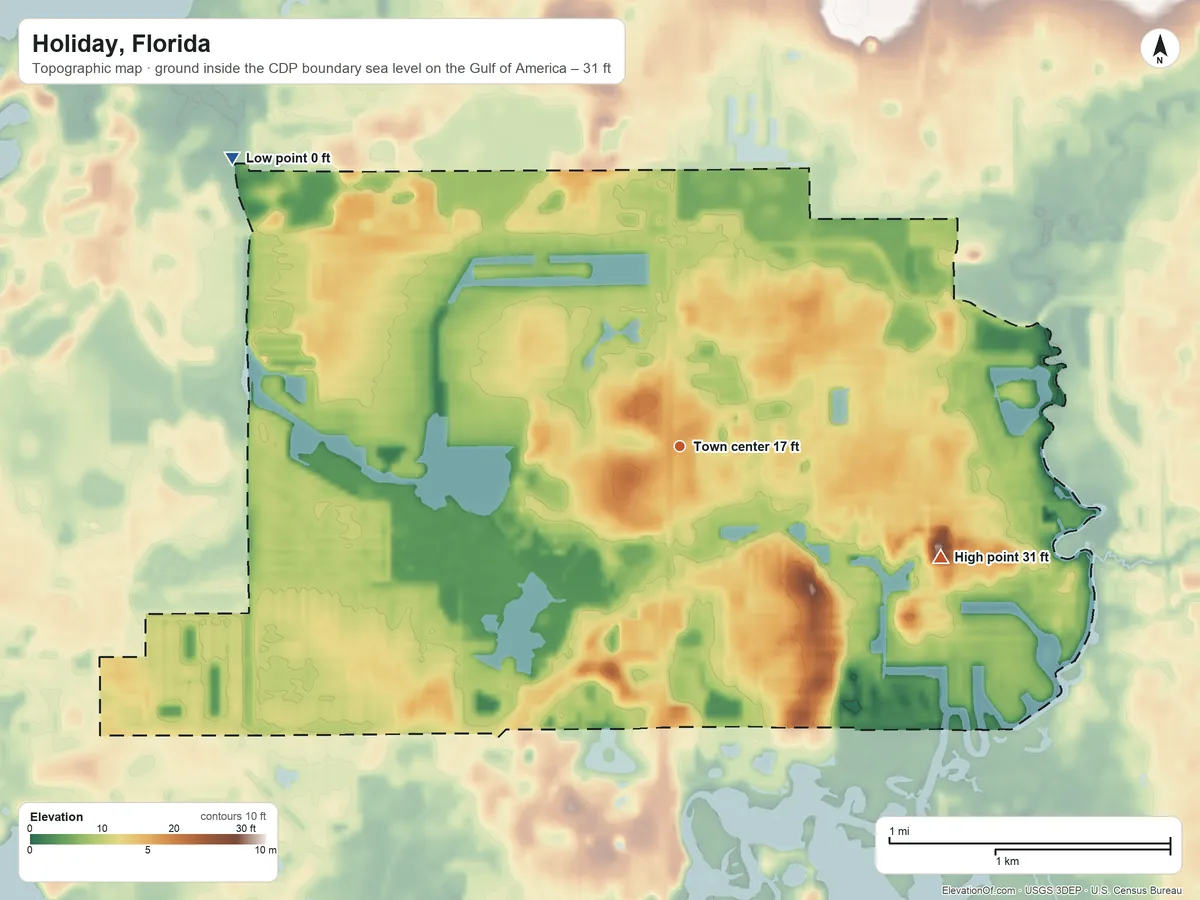 Topographic elevation map of Holiday, Florida, shaded from sea level level on the Gulf of America to 31 ft on the southeast side