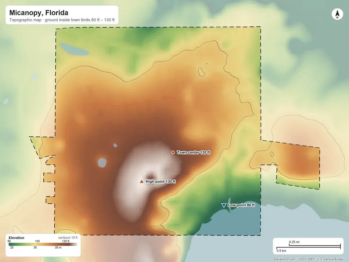 Topographic elevation map of Micanopy, Florida, shaded from 80 ft on the southeast side to 130 ft on the southwest side