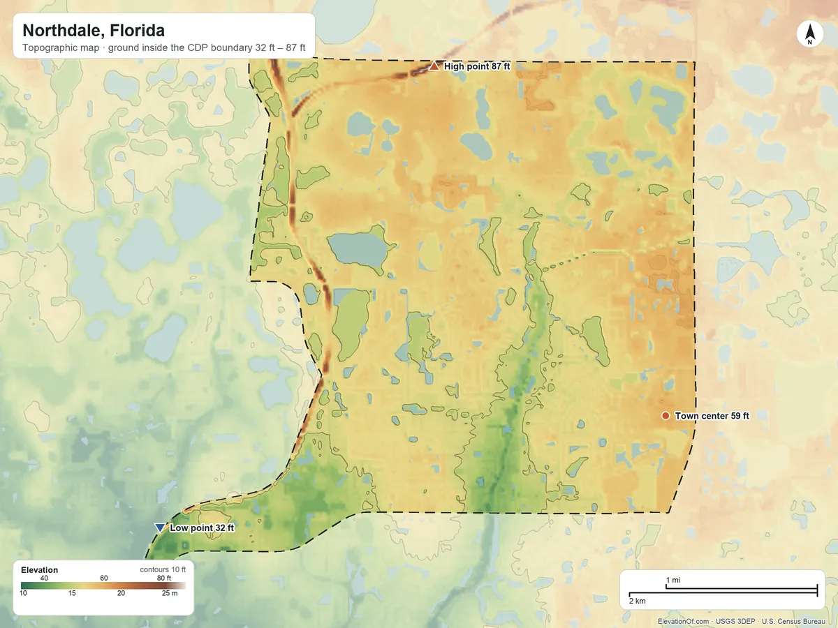 Topographic elevation map of Northdale, Florida, shaded from 32 ft on the west side to 87 ft on the northwest side