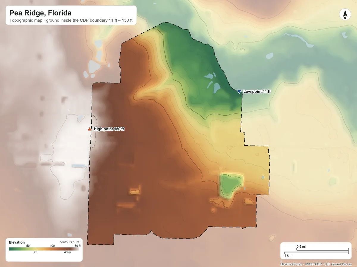 Topographic elevation map of Pea Ridge, Florida, shaded from 11 ft on the northeast side to 150 ft on the northwest side