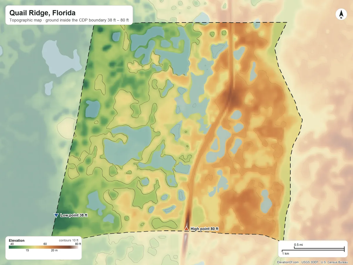 Topographic elevation map of Quail Ridge, Florida, shaded from 38 ft on the southwest side to 80 ft on the south side