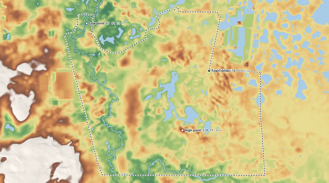 Topographic elevation map of Ridge Manor, Florida, shaded from 47 ft on the west side to 110 ft on the southwest side