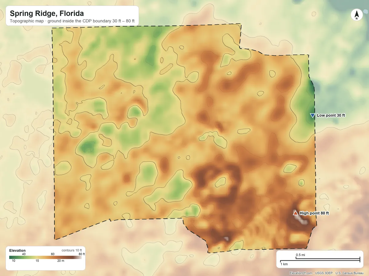 Topographic elevation map of Spring Ridge, Florida, shaded from 30 ft on the east side to 80 ft on the southeast side