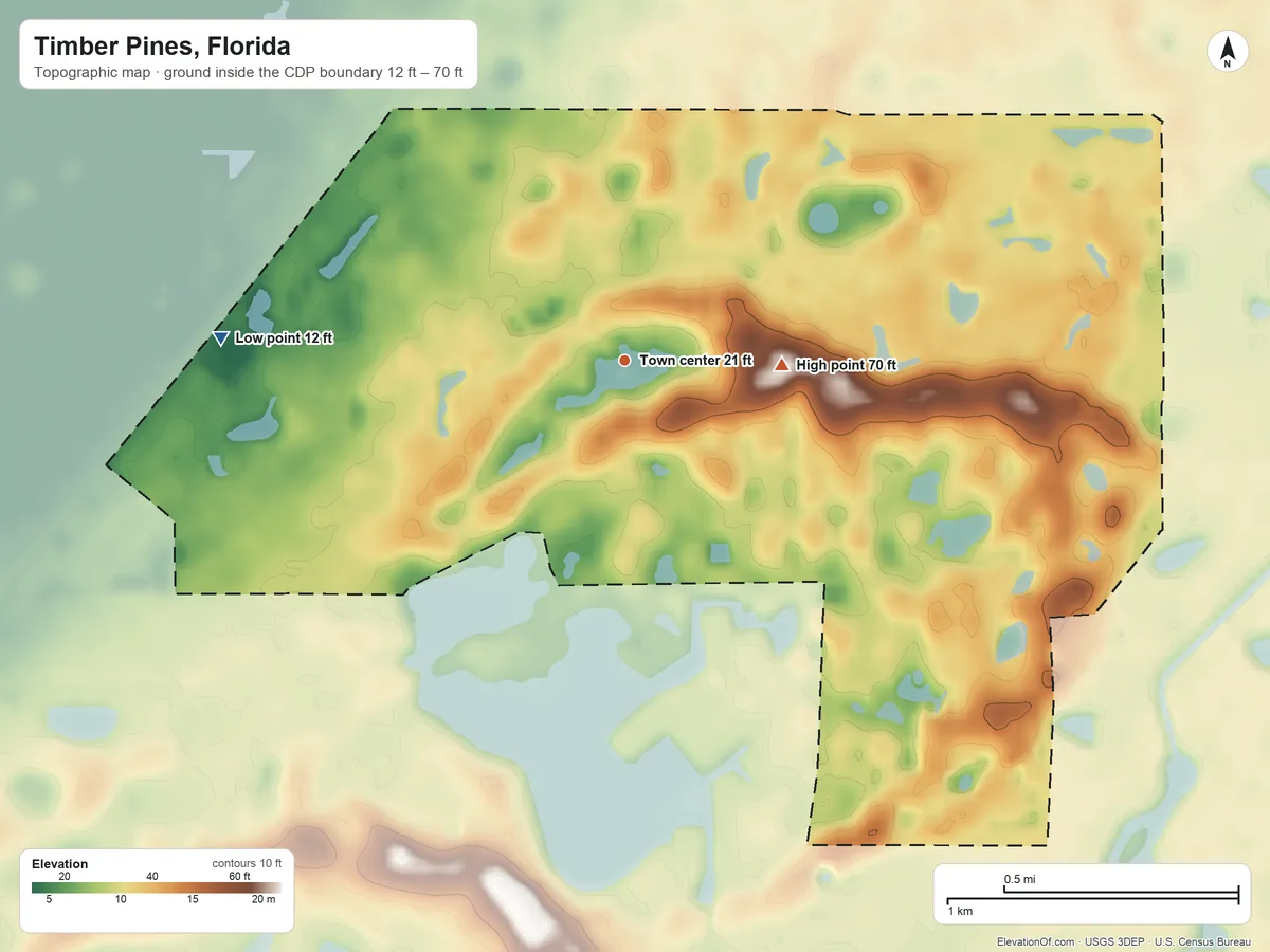 Topographic elevation map of Timber Pines, Florida, shaded from 12 ft on the west side to 70 ft on the east side