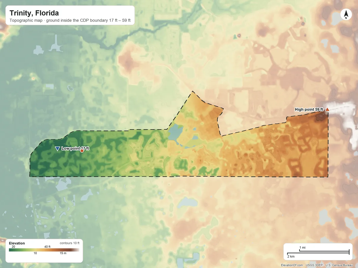 Topographic elevation map of Trinity, Florida, shaded from 17 ft near the middle to 59 ft on the east side