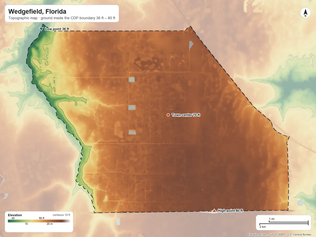 Topographic elevation map of Wedgefield, Florida, shaded from 36 ft on the northwest side to 80 ft on the southeast side
