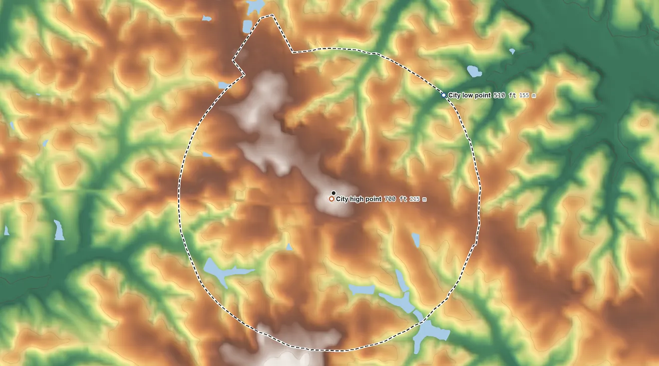 Topographic elevation map of Buena Vista, Georgia, shaded from 510 ft on the northeast side to 700 ft near the middle