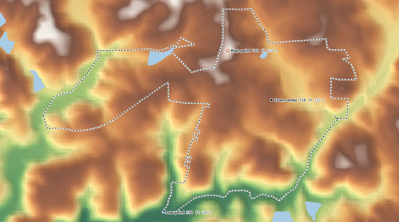 Topographic elevation map of Lincoln Park, Georgia, shaded from 590 ft on the southwest side to 740 ft on the northwest side