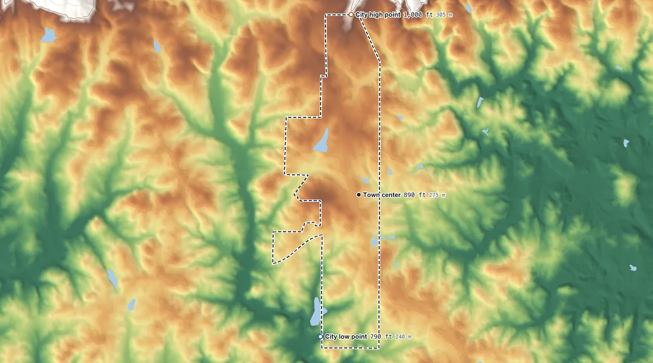 Topographic elevation map of Shiloh, Georgia, shaded from 790 ft on the south side to 1,000 ft on the north edge, below higher ground just outside