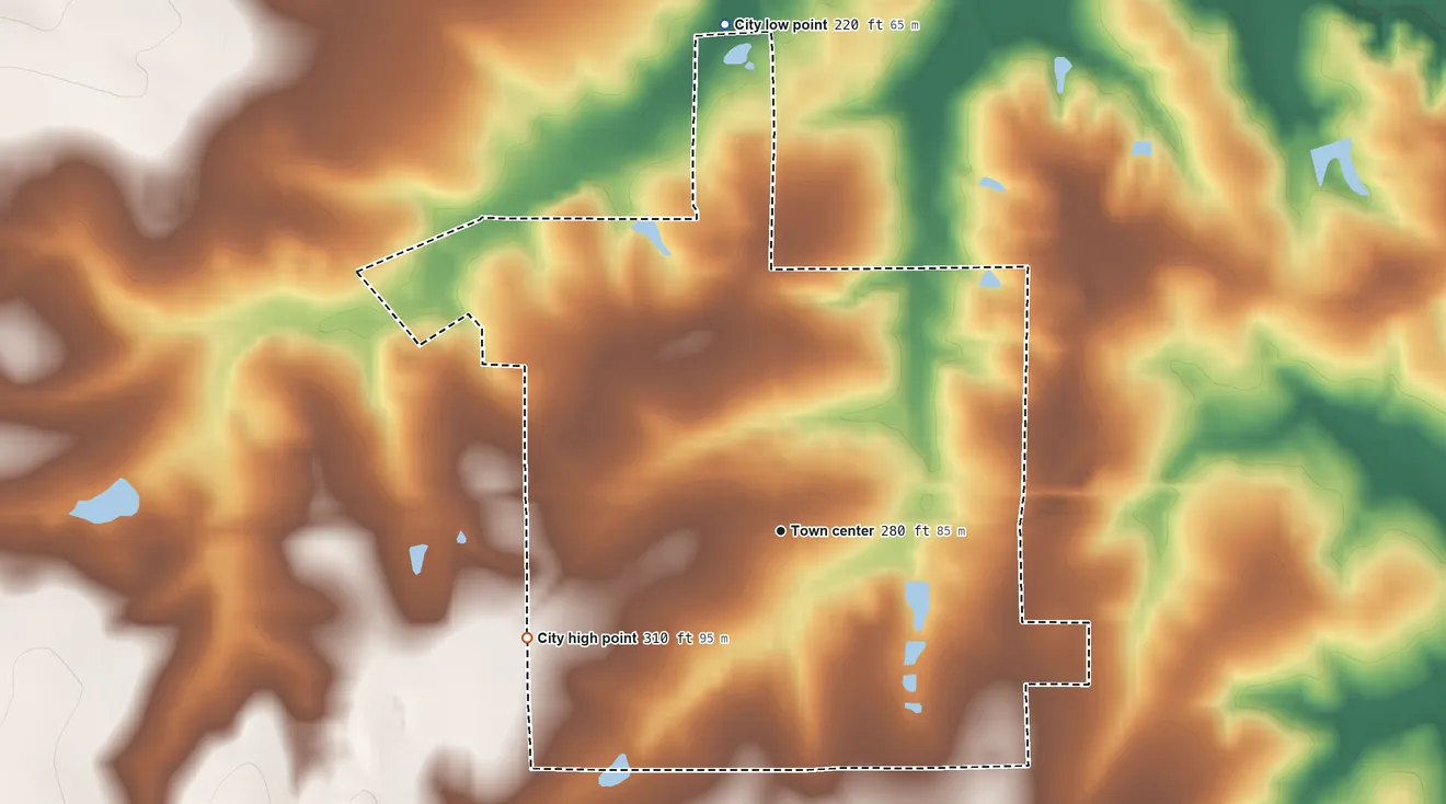 Topographic elevation map of Whigham, Georgia, shaded from 220 ft on the north side to 310 ft on the southwest side
