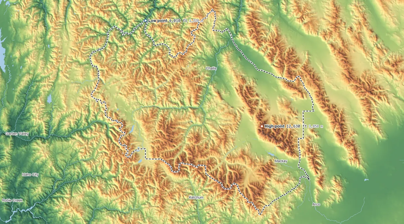 Topographic elevation map of Custer County, Idaho, shaded from 4,010 ft on the northwest side to 12,630 ft on Borah Peak