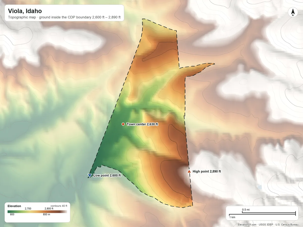 Topographic elevation map of Viola, Idaho, shaded from 2,600 ft on the southwest side to 2,890 ft at the foot of the Palouse Range