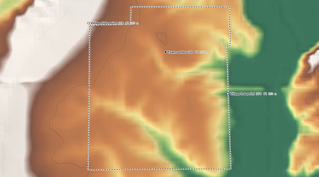Topographic elevation map of Bingham, Illinois, shaded from 570 ft on the southeast side to 610 ft on the west side
