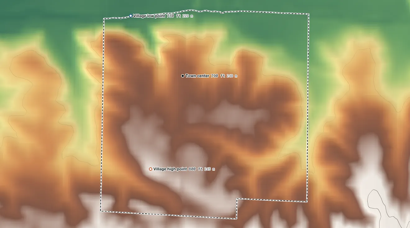 Topographic elevation map of Bishop Hill, Illinois, shaded from 730 ft on the northwest side to 800 ft on the south side