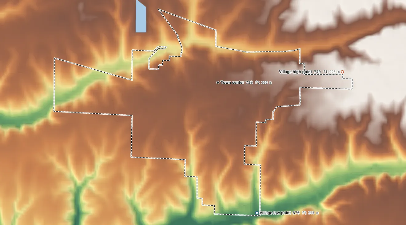 Topographic elevation map of Blandinsville, Illinois, shaded from 670 ft on the south side to 740 ft on the east side
