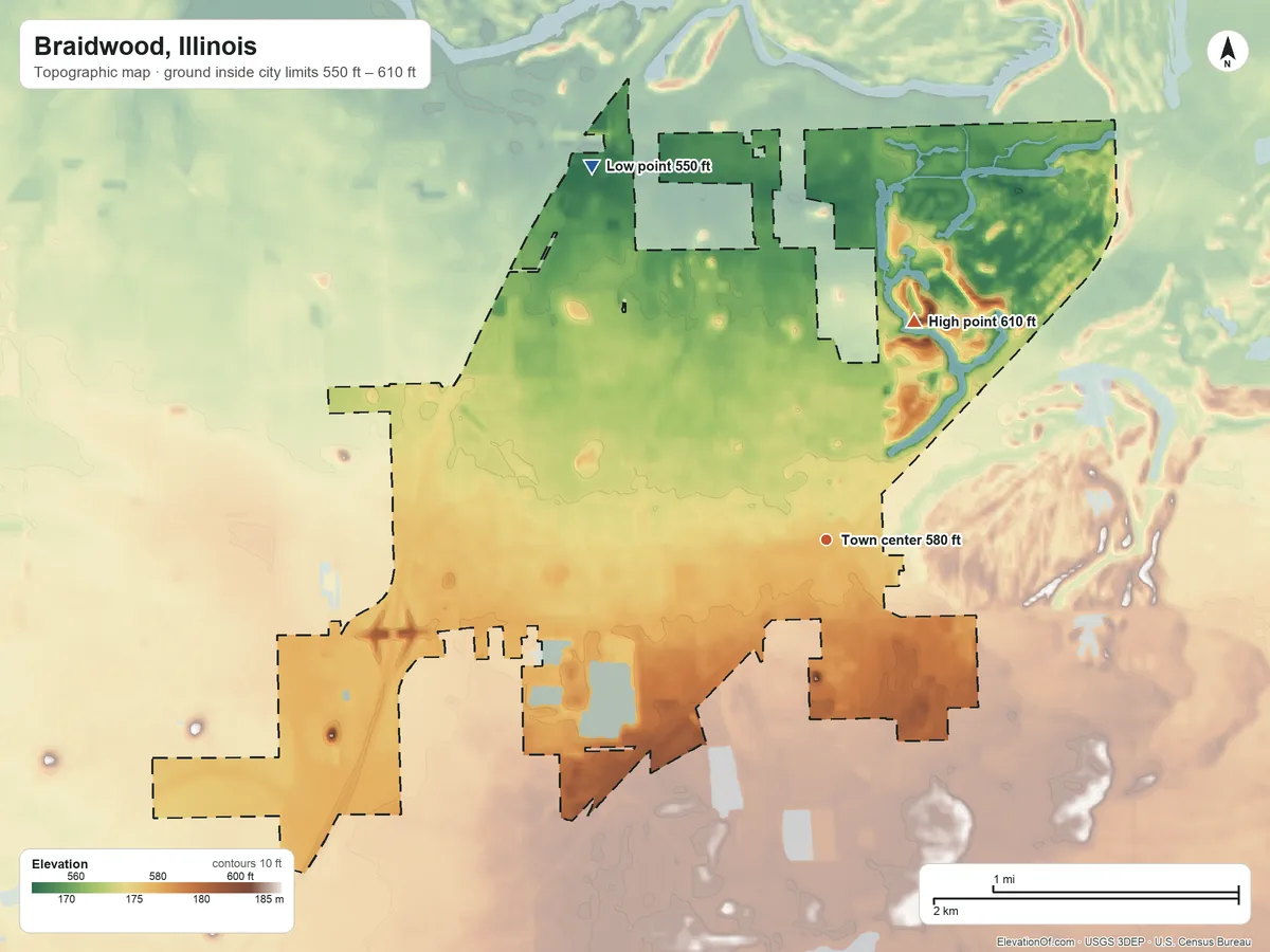 Topographic elevation map of Braidwood, Illinois, shaded from 550 ft on the northwest side to 610 ft on the north side