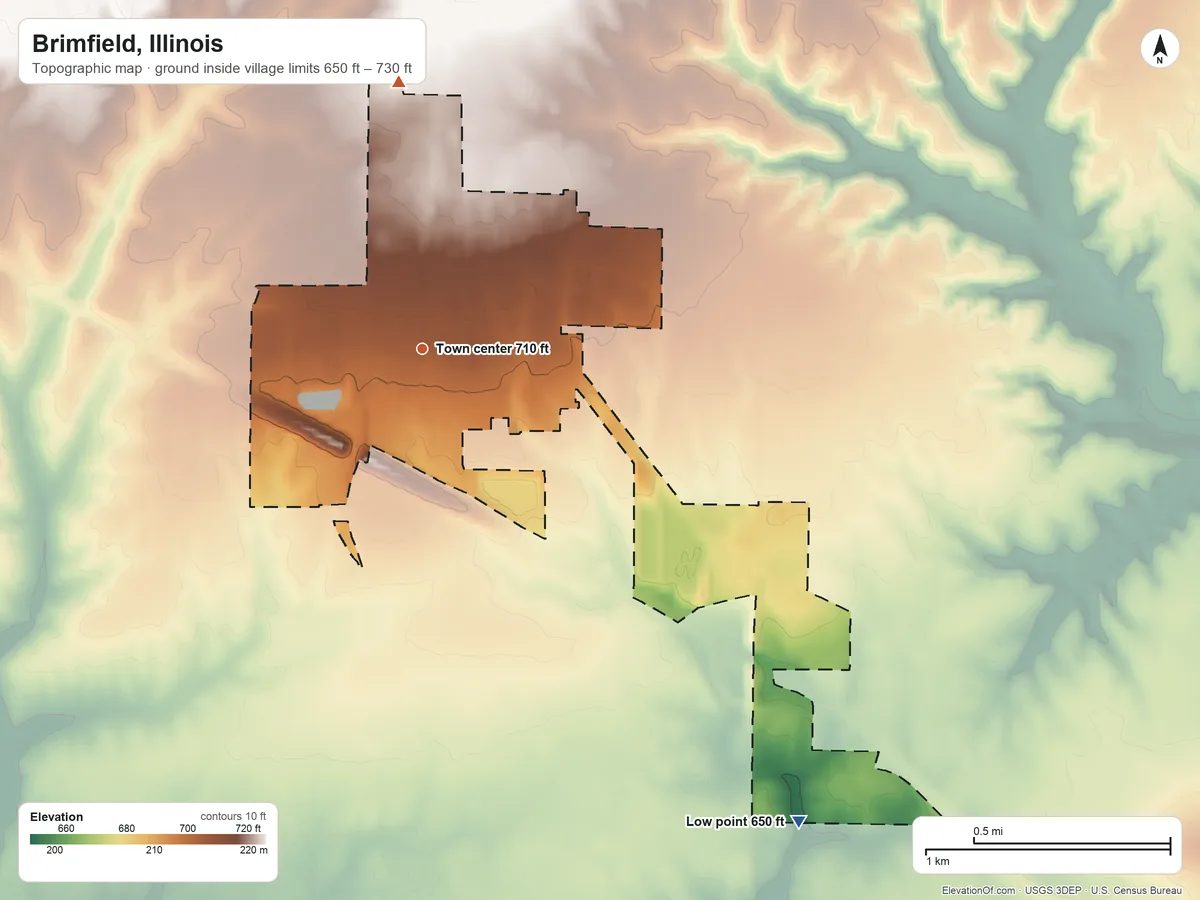 Topographic elevation map of Brimfield, Illinois, shaded from 650 ft on the southeast side to 730 ft on the north side