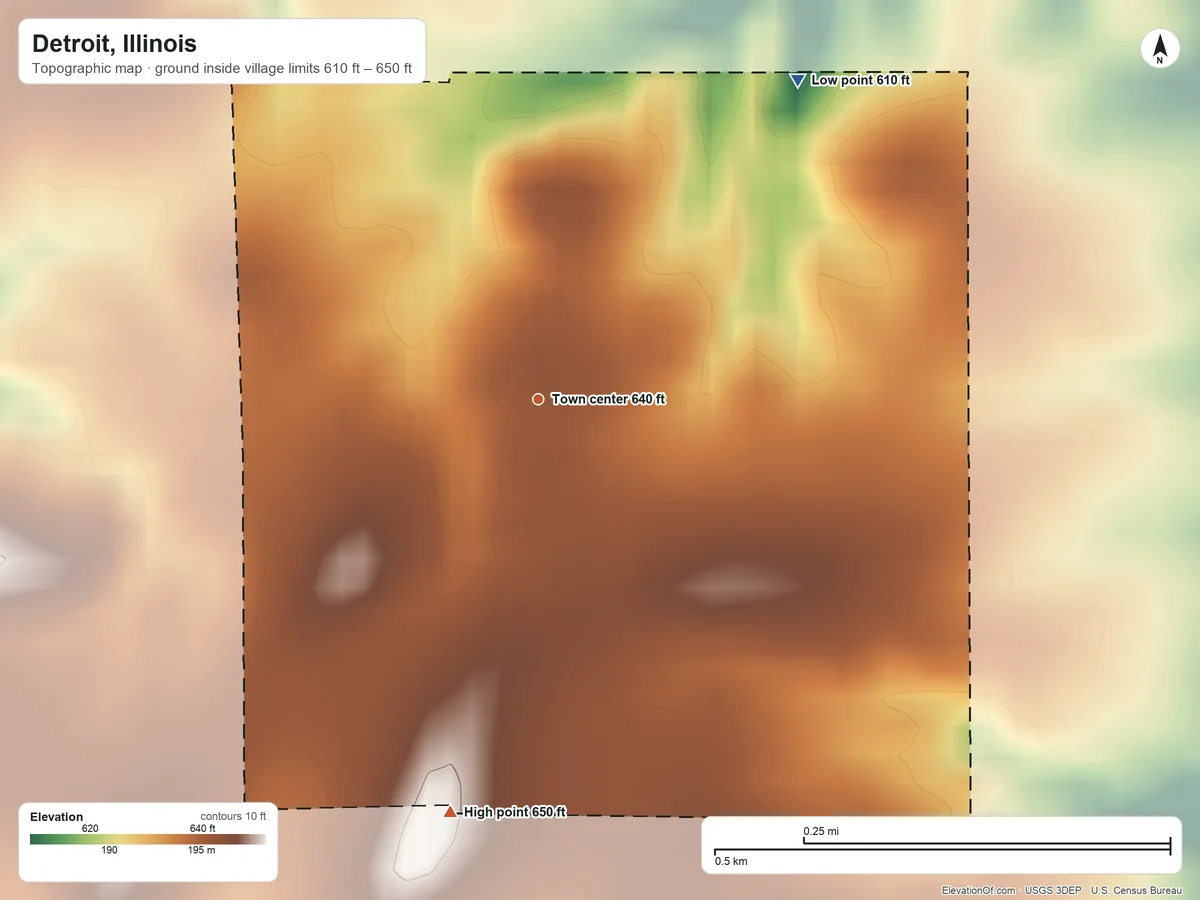 Topographic elevation map of Detroit, Illinois, shaded from 610 ft on the northeast side to 650 ft on the south side