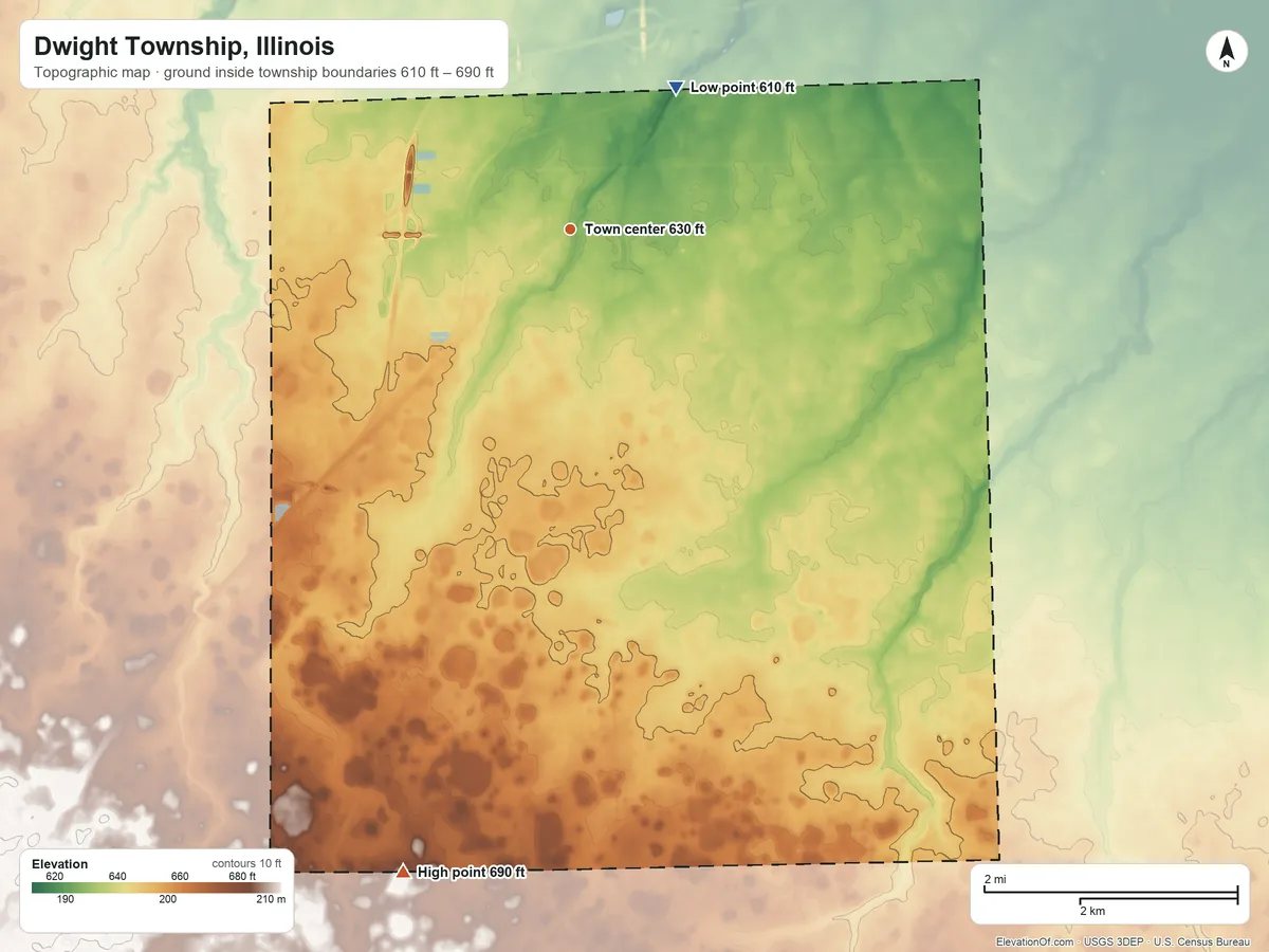 Topographic elevation map of Dwight Township, Illinois, shaded from 610 ft on the northeast side to 690 ft on the south side