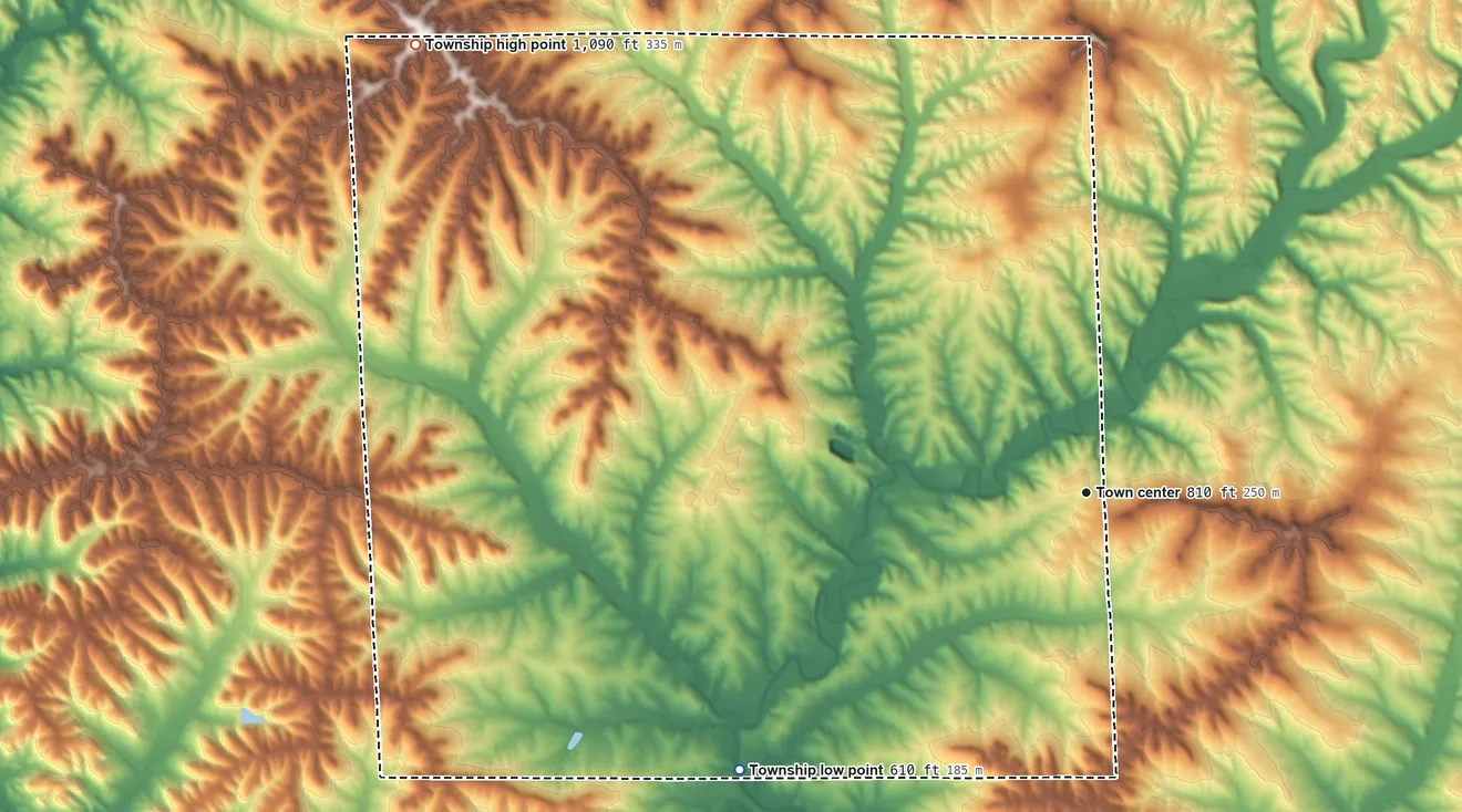 Topographic elevation map of Elizabeth Township, Illinois, shaded from 610 ft on the southwest side to 1,090 ft on the northwest side