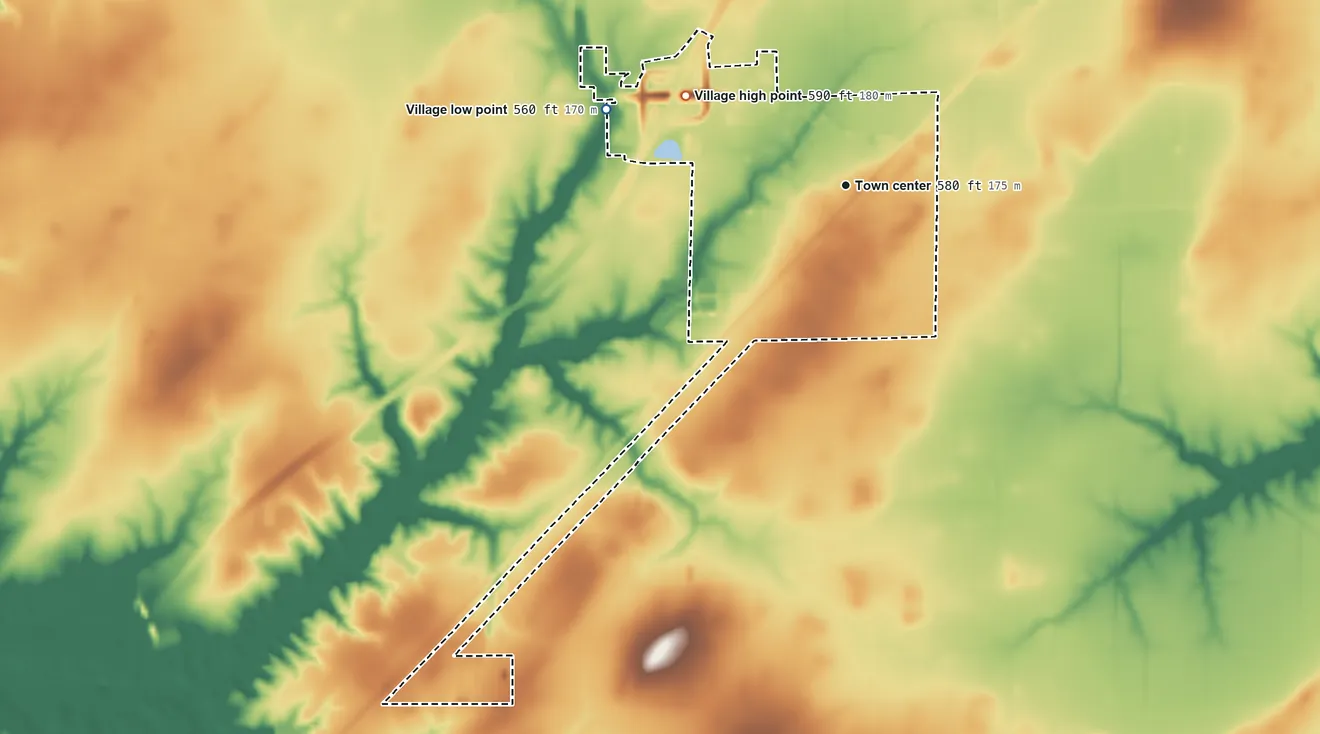 Topographic elevation map of Farina, Illinois, shaded from 560 ft on the west side to 590 ft on the northwest side