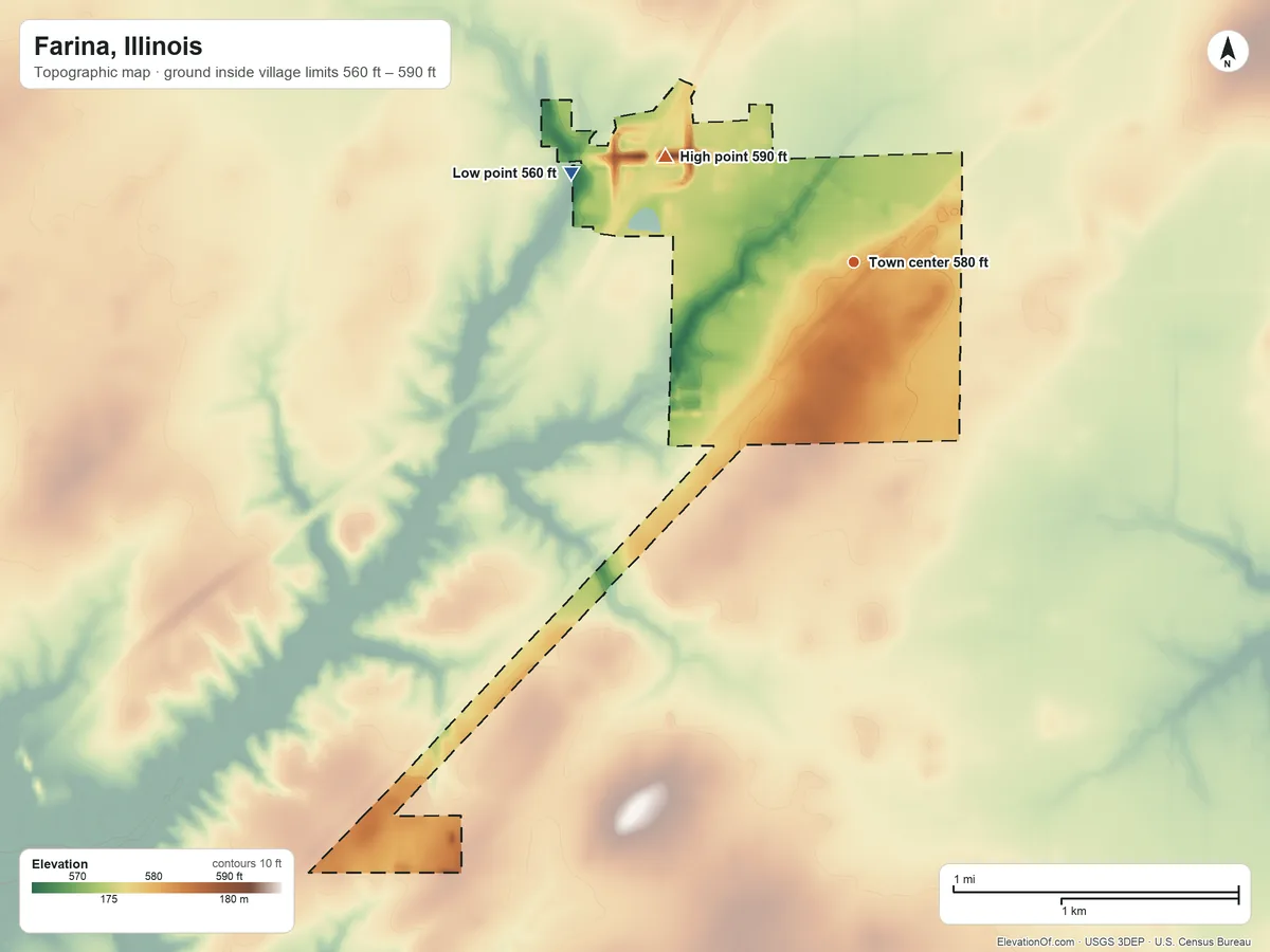 Topographic elevation map of Farina, Illinois, shaded from 560 ft on the west side to 590 ft on the northwest side