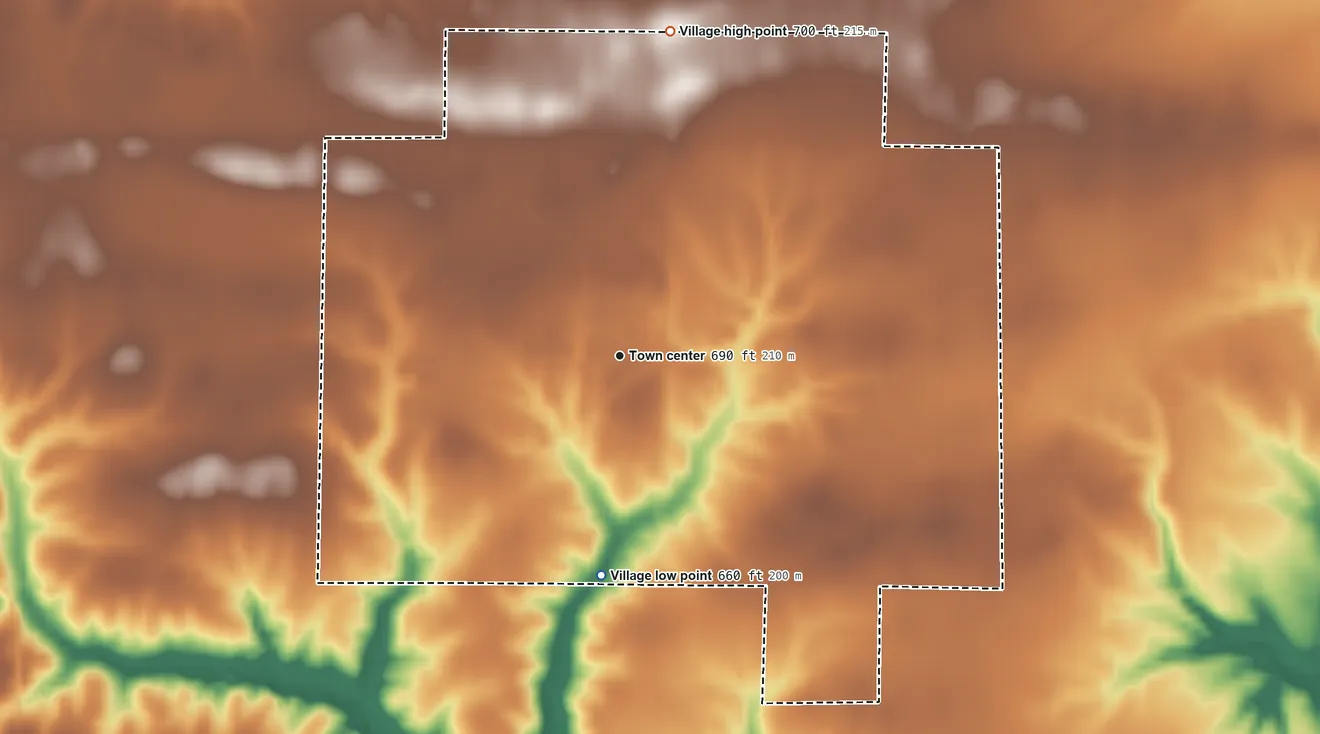 Topographic elevation map of Ferris, Illinois, shaded from 660 ft on the south side to 700 ft on the north side