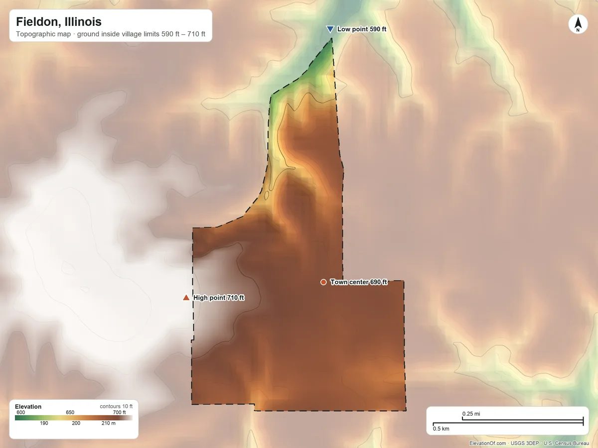 Topographic elevation map of Fieldon, Illinois, shaded from 590 ft on the north side to 710 ft on the west side
