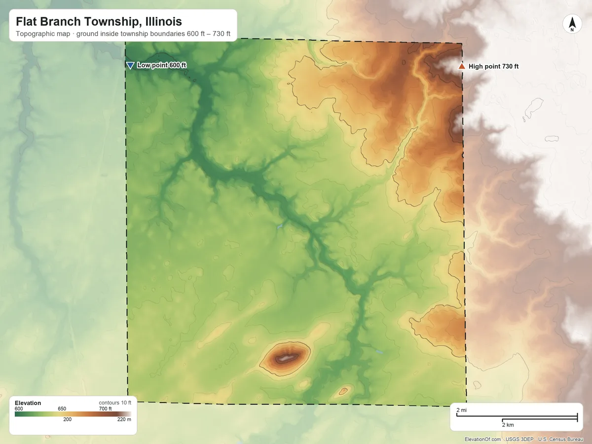 Topographic elevation map of Flat Branch Township, Illinois, shaded from 600 ft on the northwest side to 730 ft on the northeast side