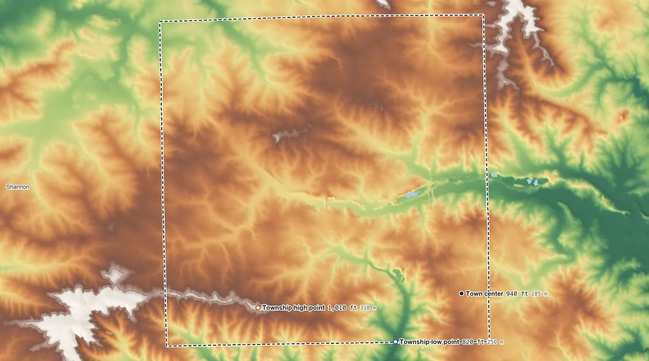 Topographic elevation map of Forreston Township, Illinois, shaded from 820 ft on the southwest side to 1,010 ft on the west side