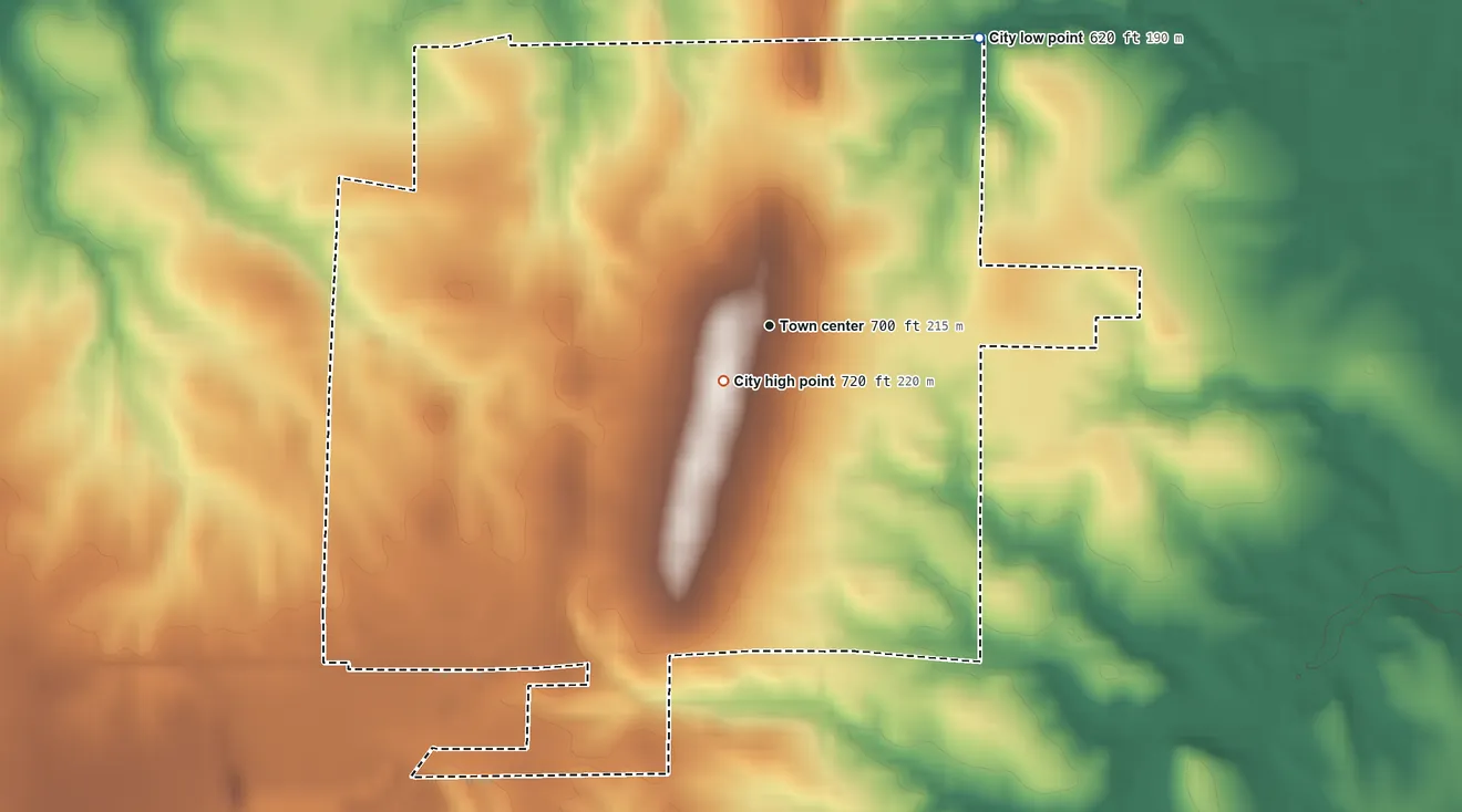 Topographic elevation map of Griggsville, Illinois, shaded from 620 ft on the northeast side to 720 ft near the middle