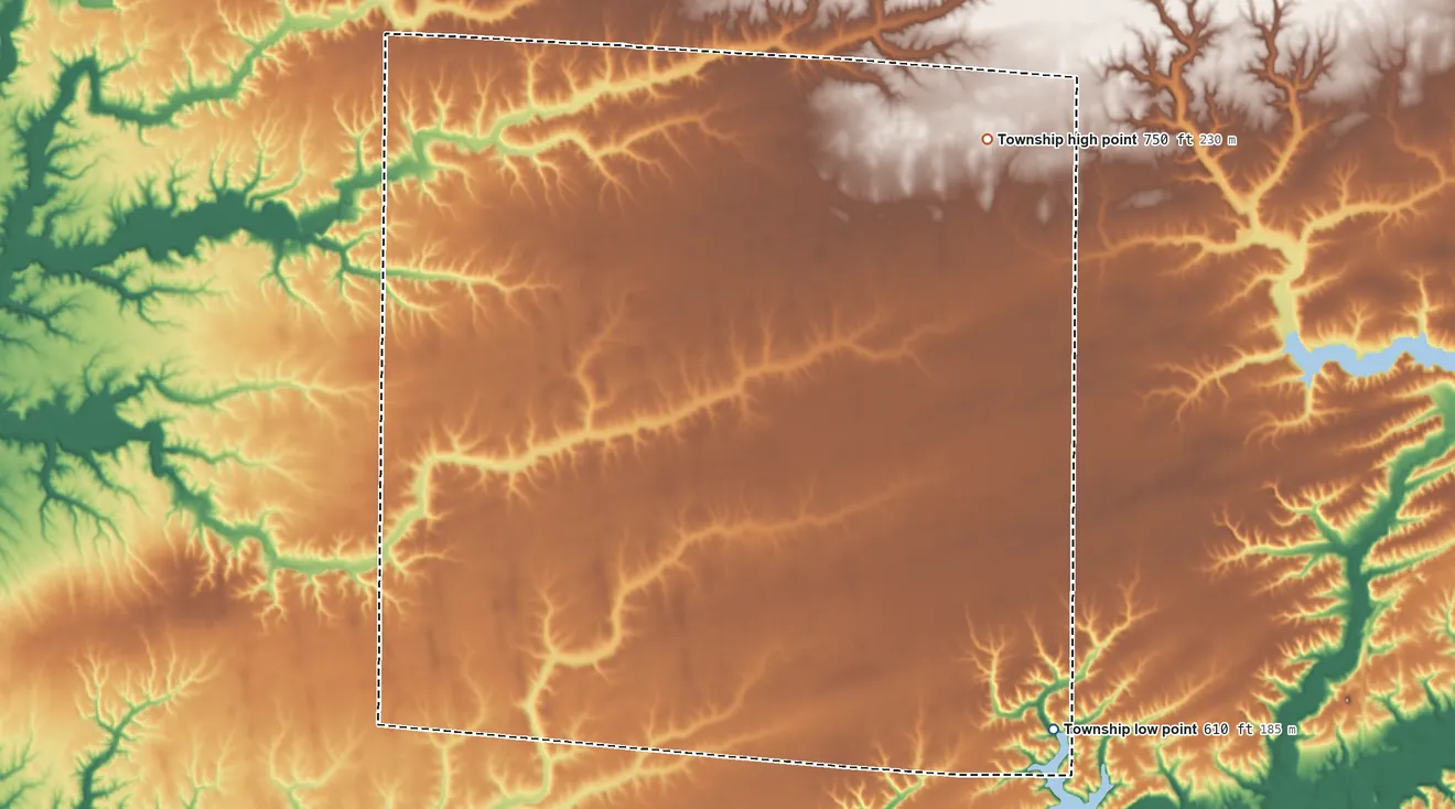Topographic elevation map of Hire Township, Illinois, shaded from 610 ft on the southeast side to 750 ft on the northeast side